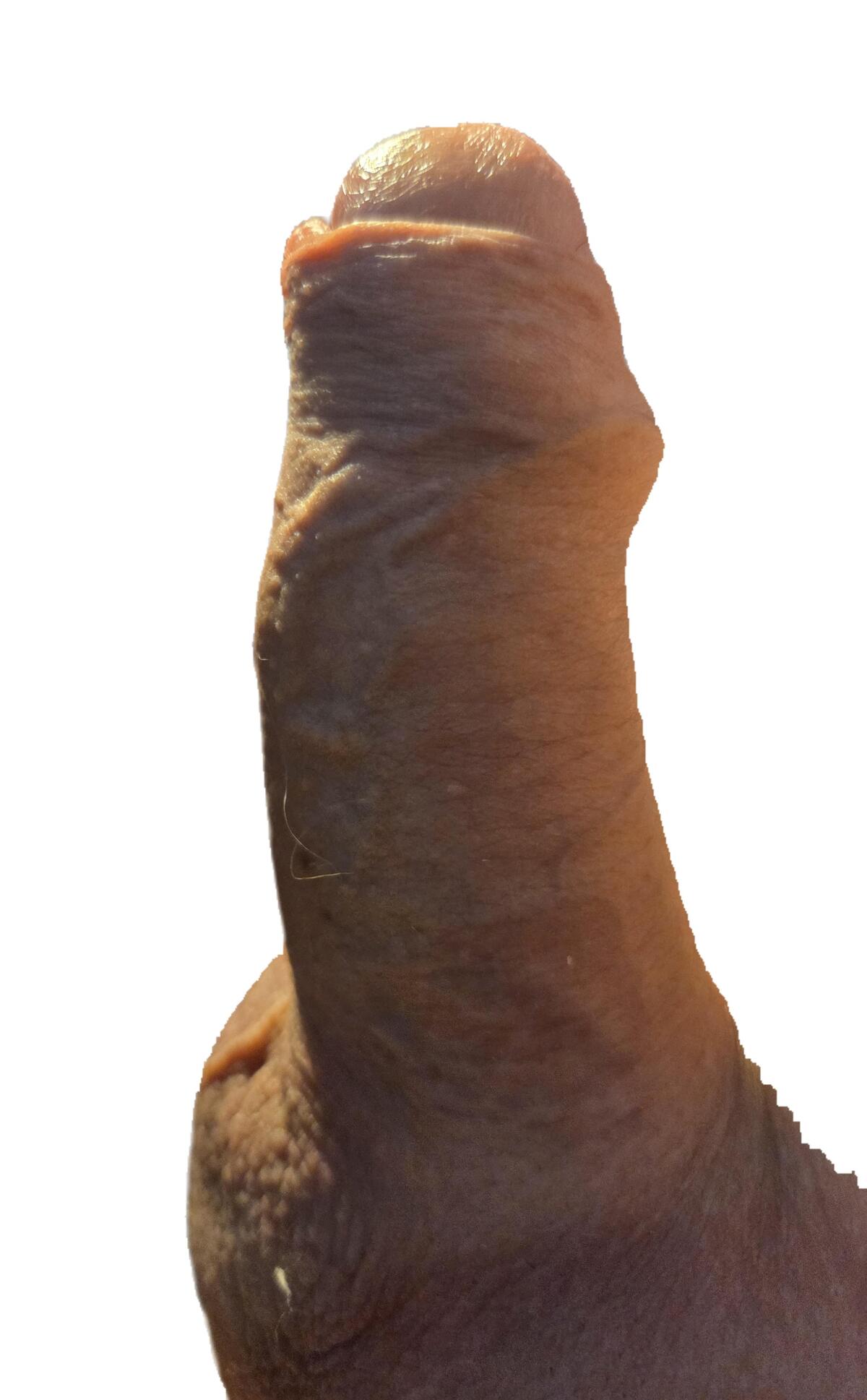 Limburger